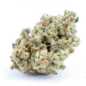 Buy Jack Herer Australia